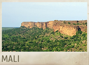 MALI