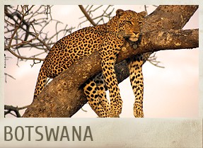 BOTSWANA 2