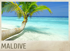 MALDIVE