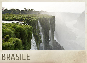 BRASILE