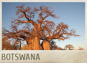 BOTSWANA